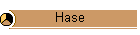Hase